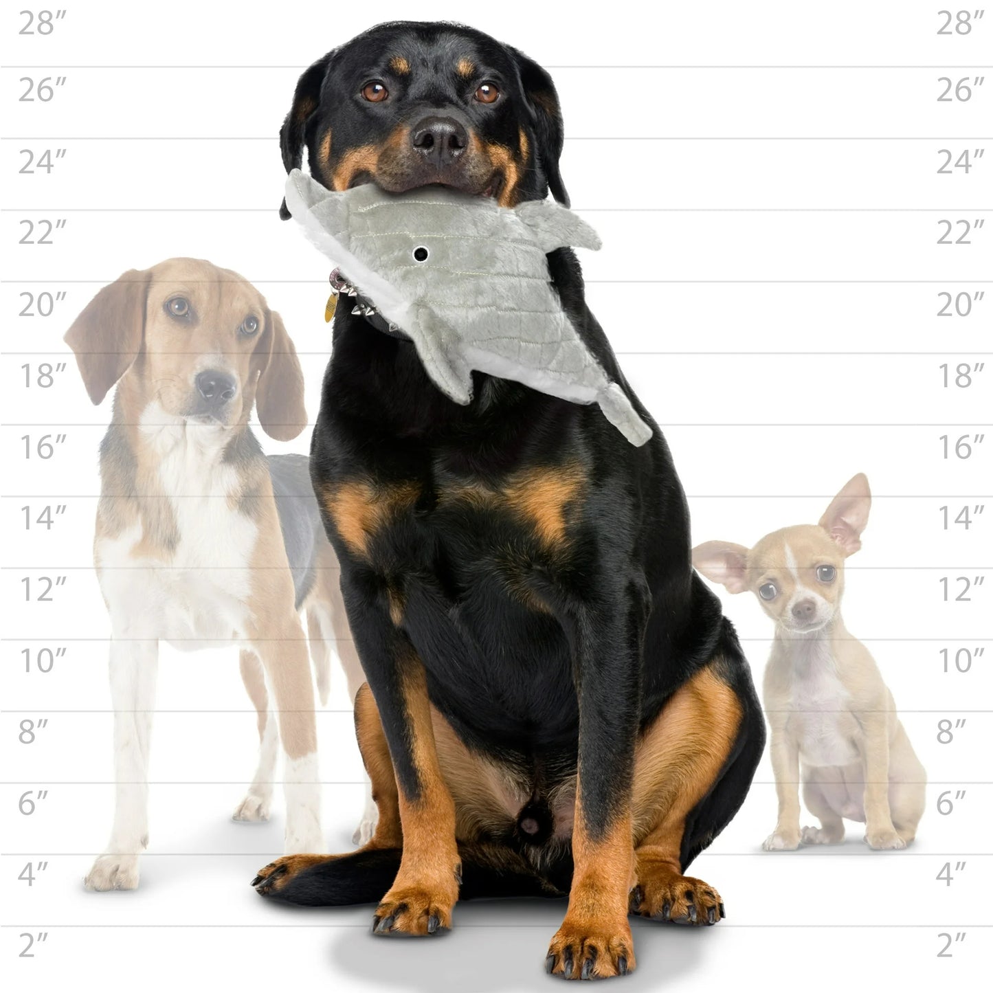 Mighty Ocean Dolphin Toy