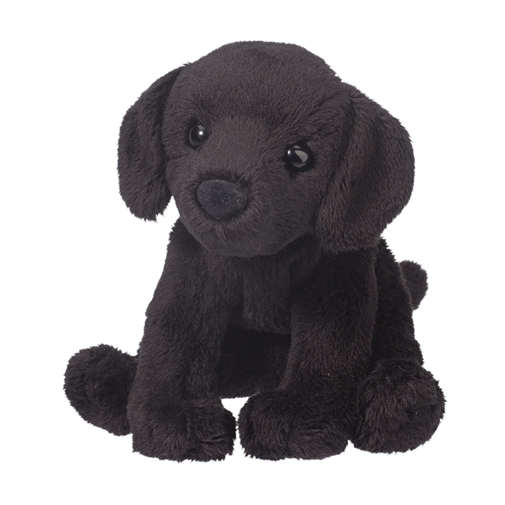 Lucy the Black Lab