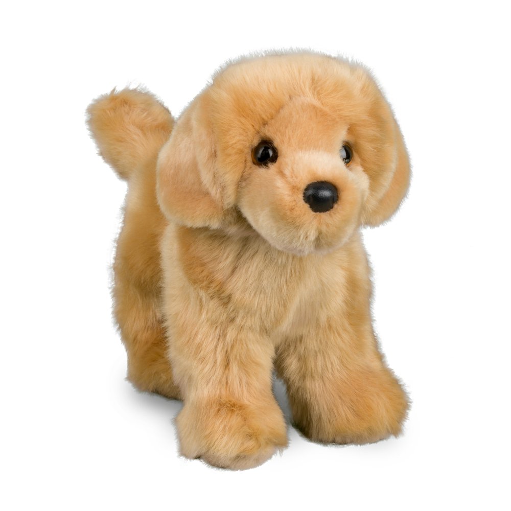 Chap the Golden Retriever