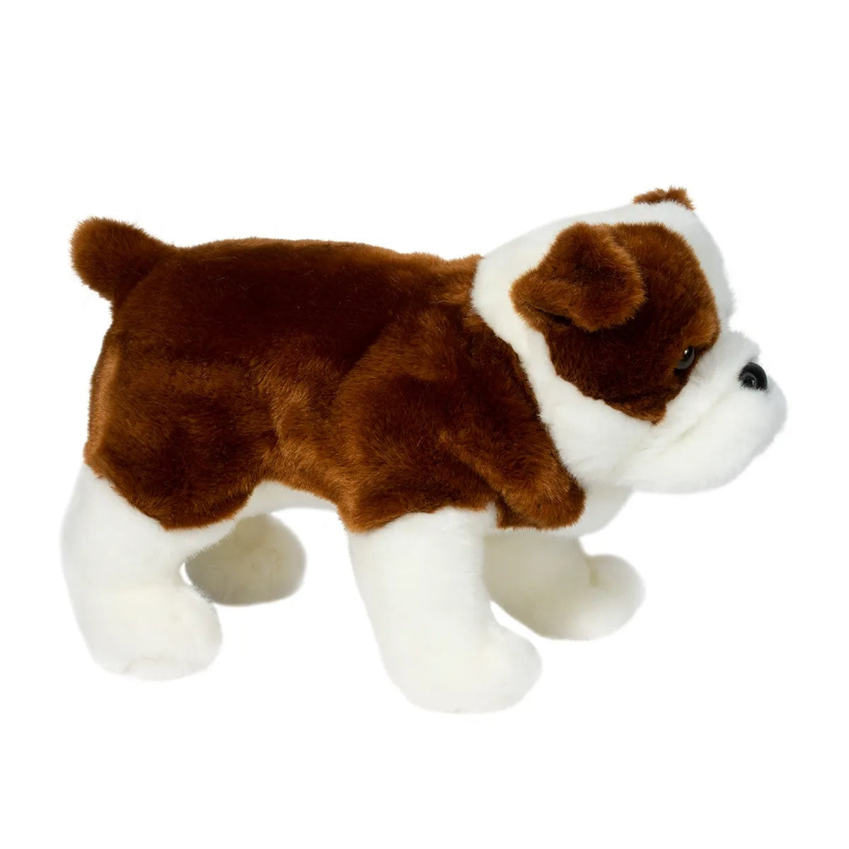 Hardy the Bulldog