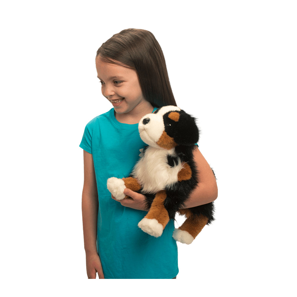 Trevor the Bernese Mountain Dog