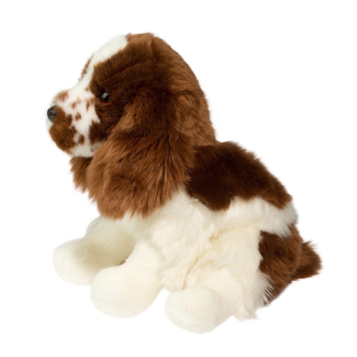Chip the Springer Spaniel