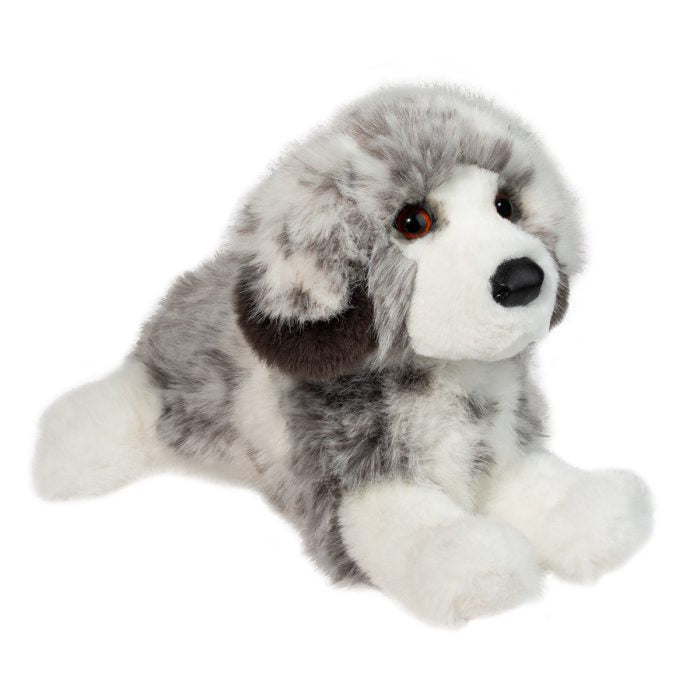 Skylar the DLux Australian Shepherd