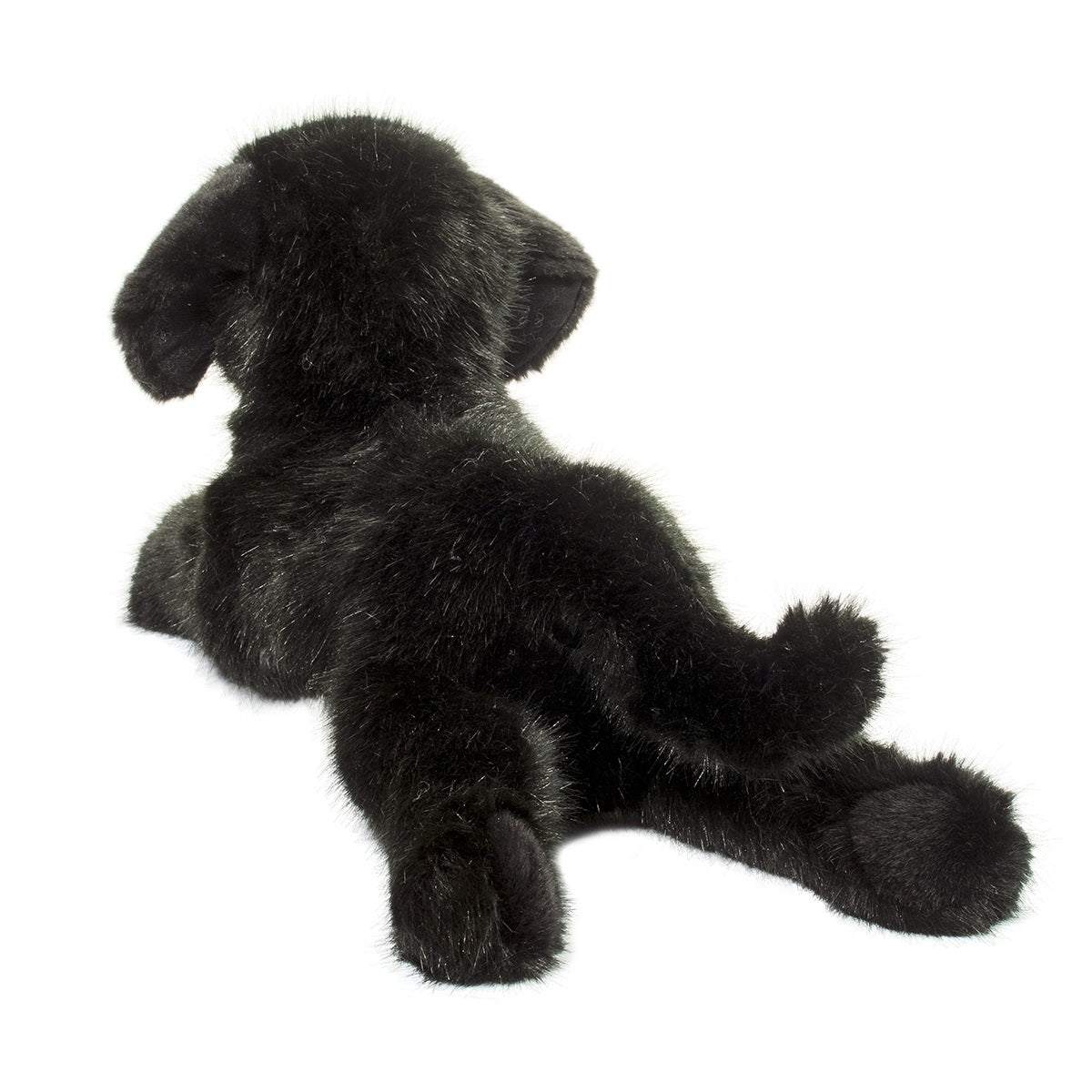 Jake the DLux Black Lab