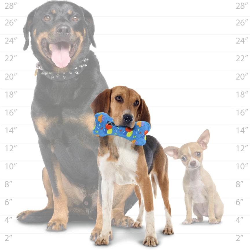 Mighty® Bone – Medium Celebration Toy