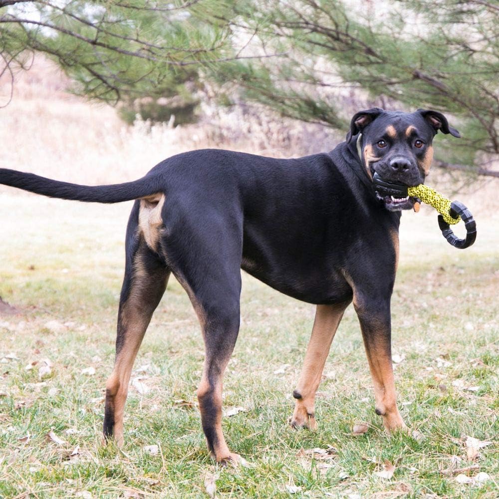 Jaxx Braided Tug Toy
