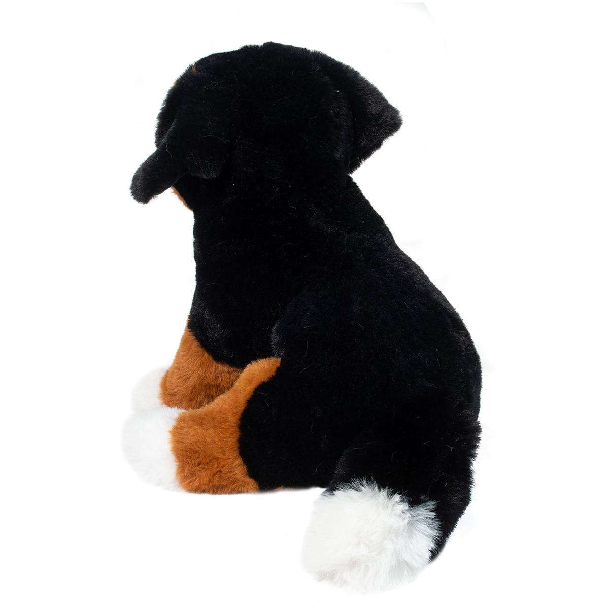 Bowie the Bernese Mountain Dog Soft