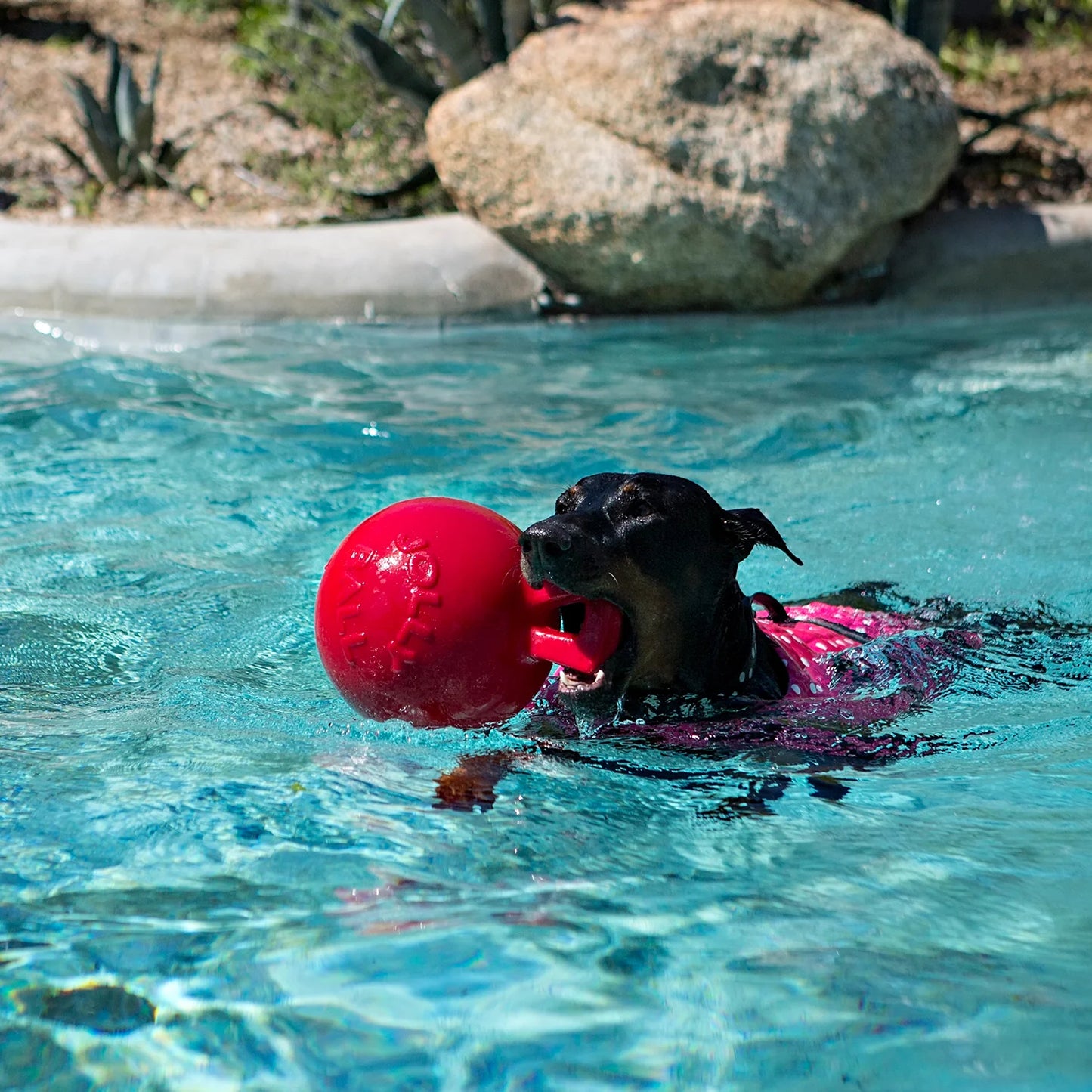 Jolly Pets Tug and Toss Ball - 8" Red