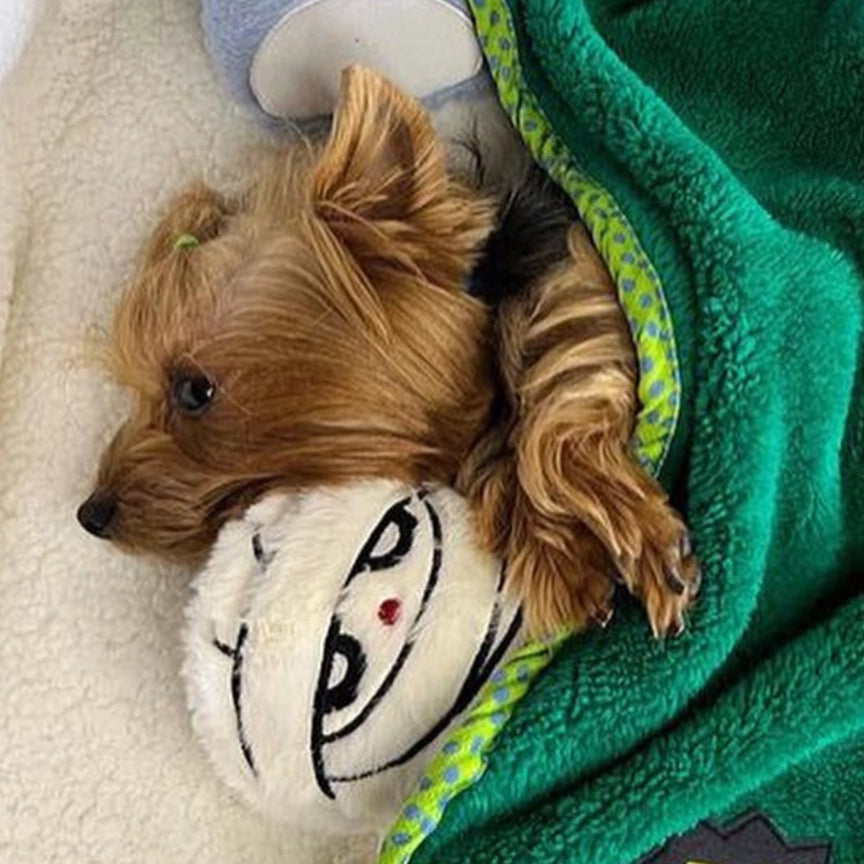 Mummy Crinkle Toy