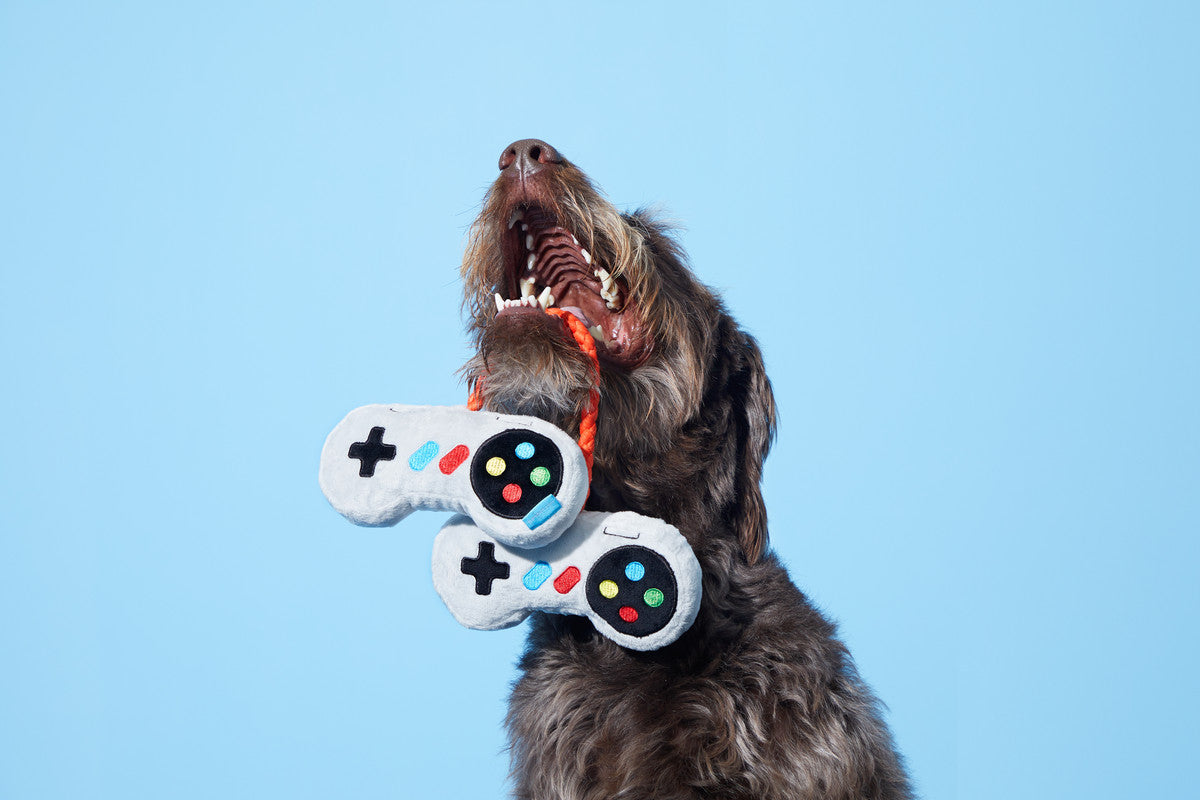 Ate-Bit Controllers Dog Toy