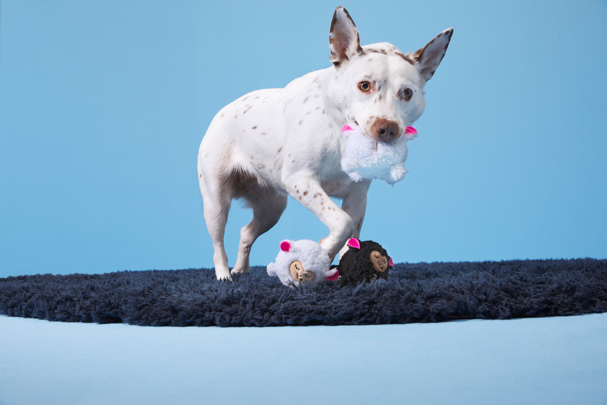 BARK Baa Baa Bark Sheep Toys