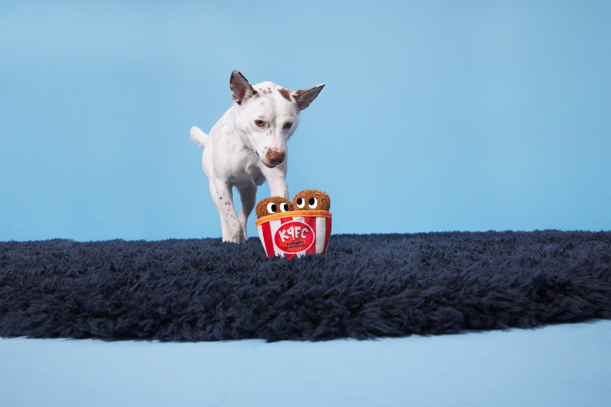 BARK Kenpuppy Fried Chicken Toy