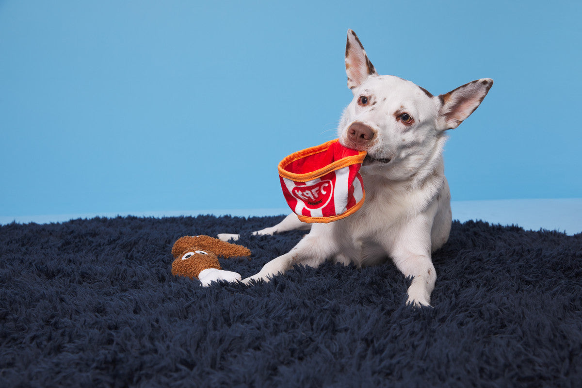 BARK Kenpuppy Fried Chicken Toy