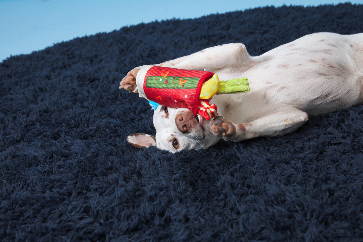 Mutty Mary Dog Toy