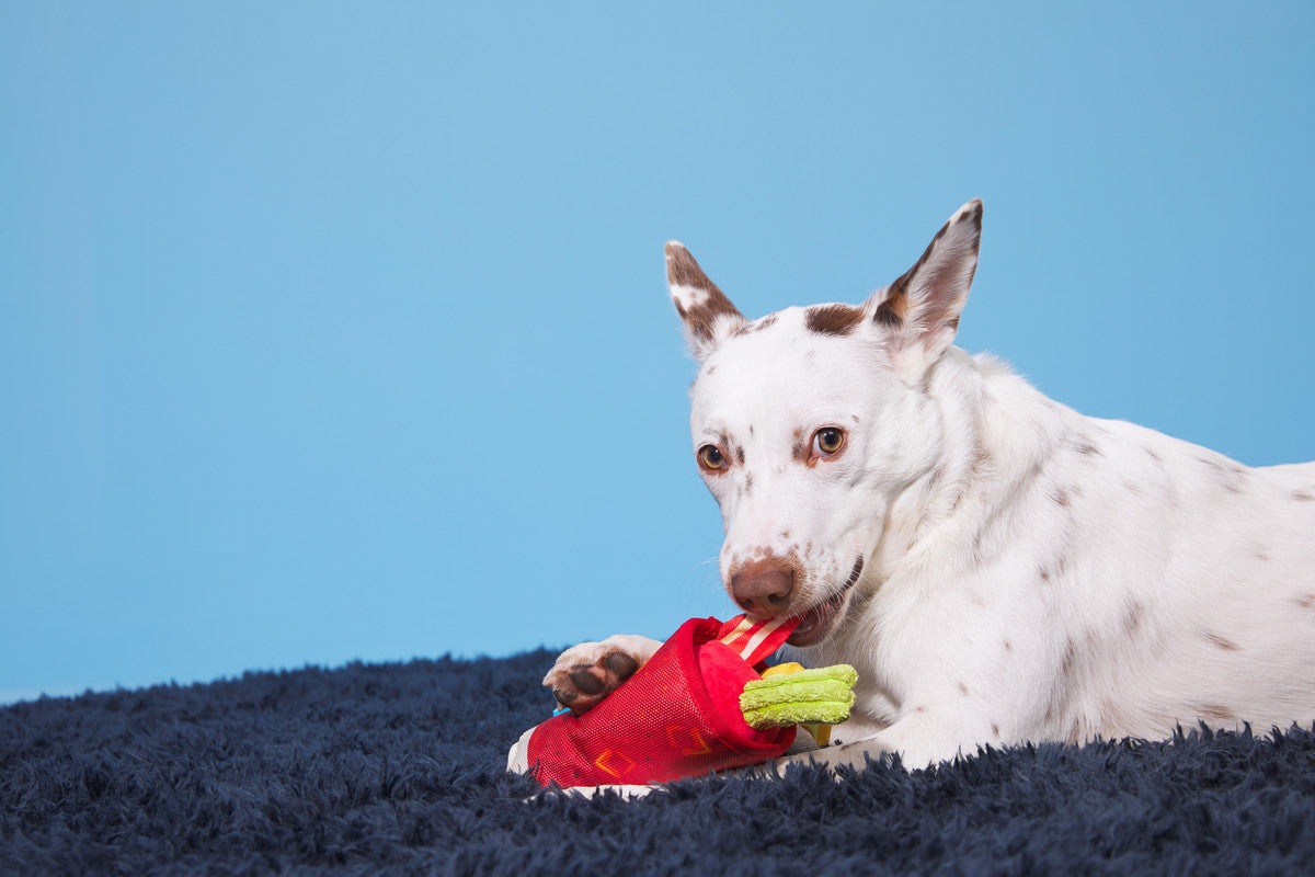 Mutty Mary Dog Toy
