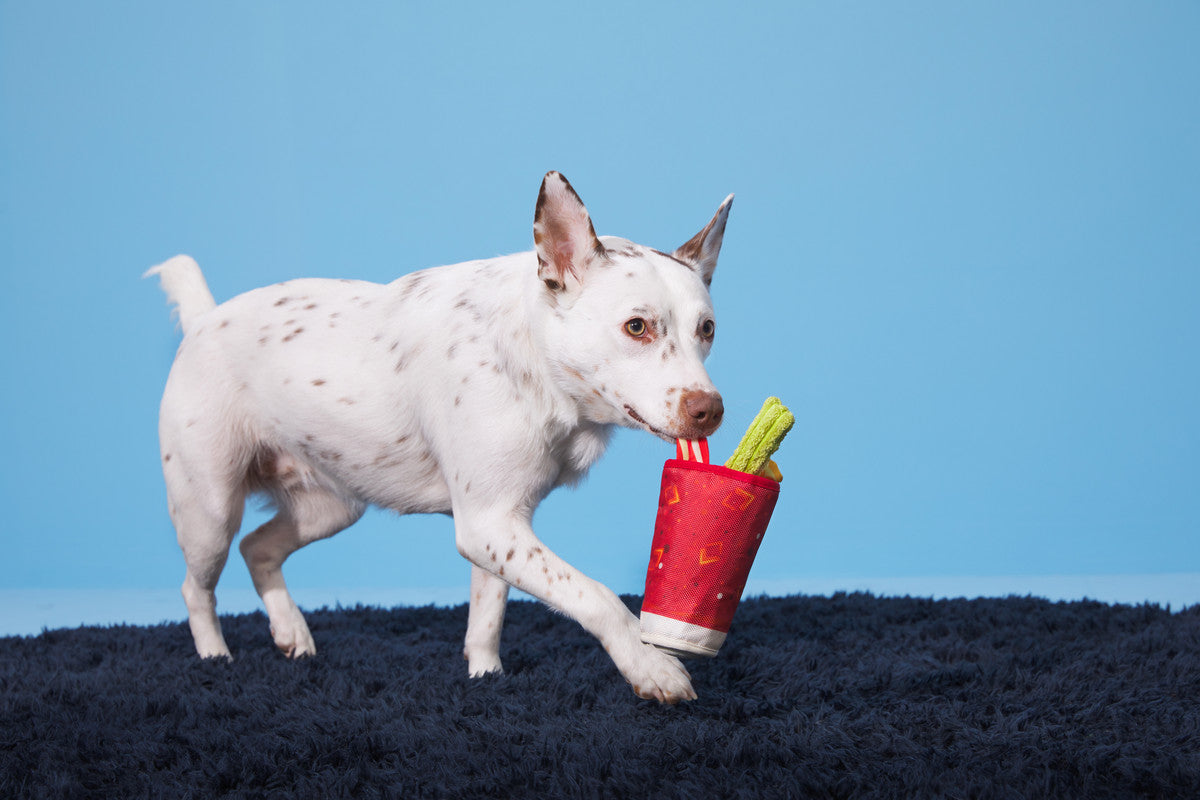 Mutty Mary Dog Toy