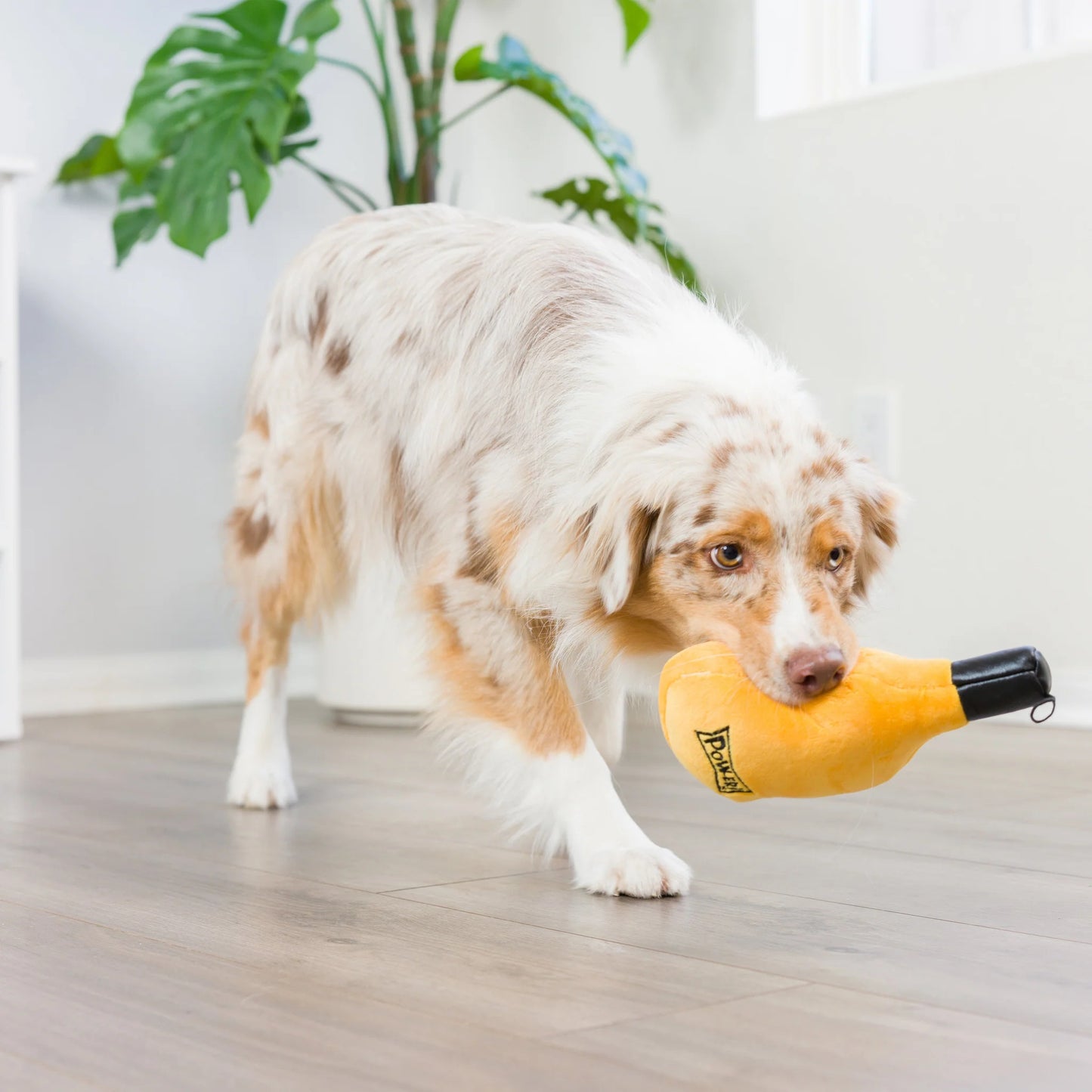 Bottle of Booz Dog Toy