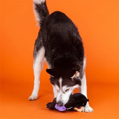 Bear Bat Plush Dog Toy