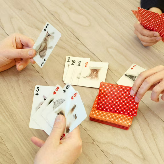 3D Playing Cards - Cats