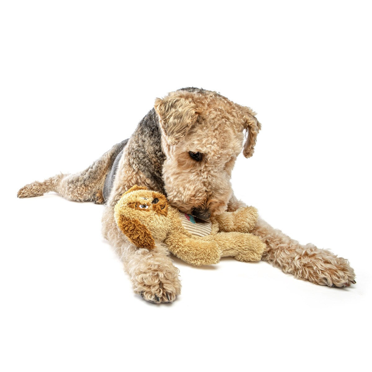 Soft Scents Dog Plush Dog Toy