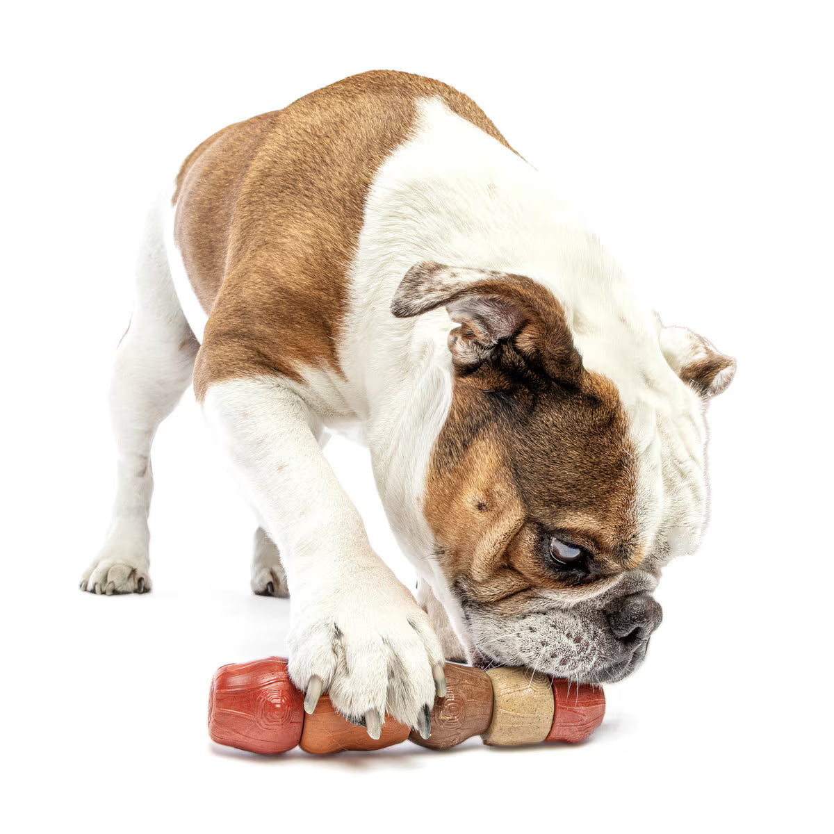 Multi-Flavor Stick Dog Chew Toy - Medium