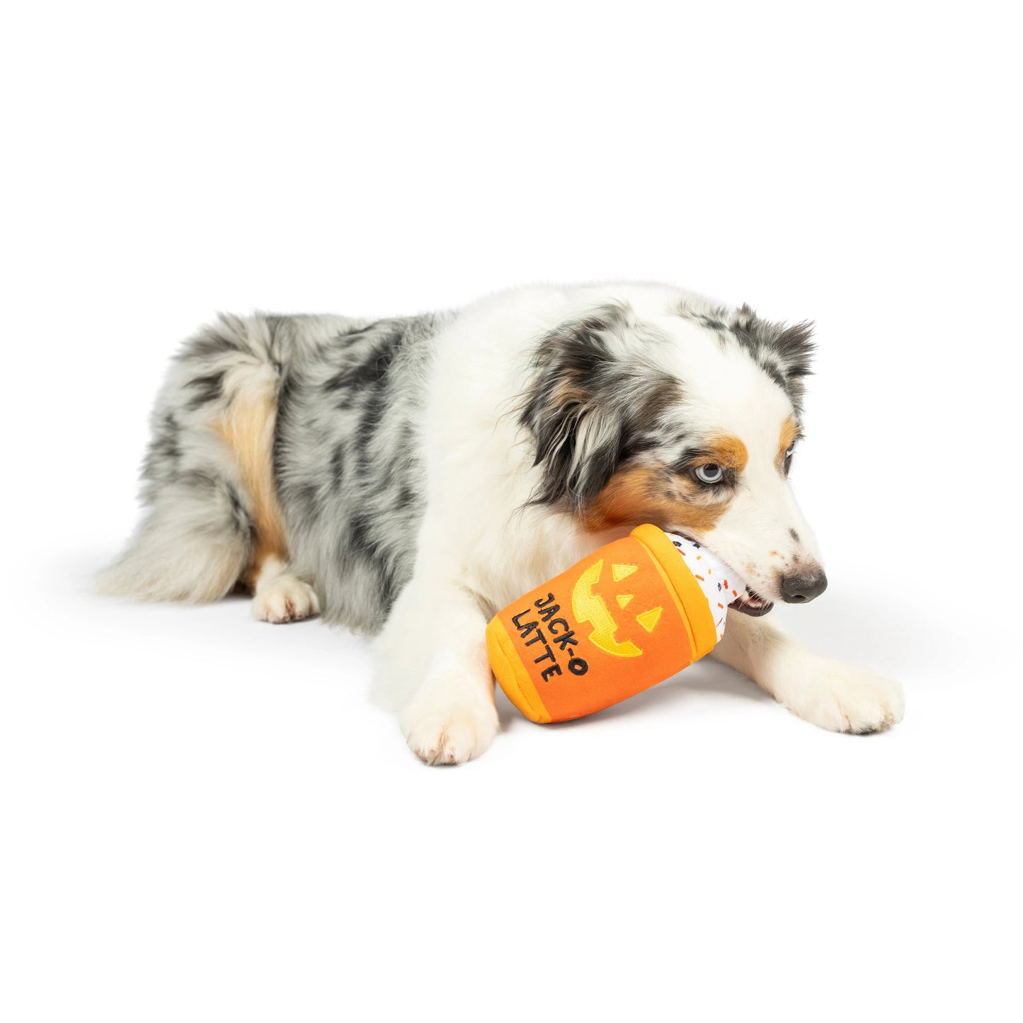 Jack-O-Latte Dog Toy