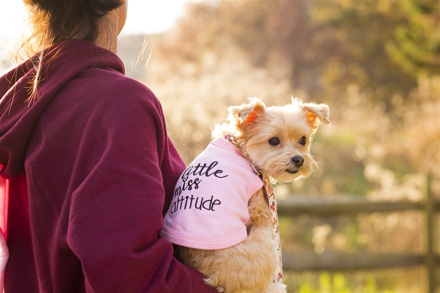 Little Miss Attitude Tee