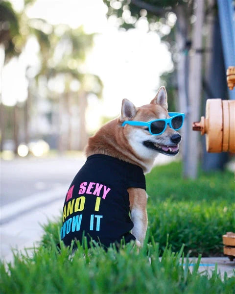 Sexy and I Know It Tee