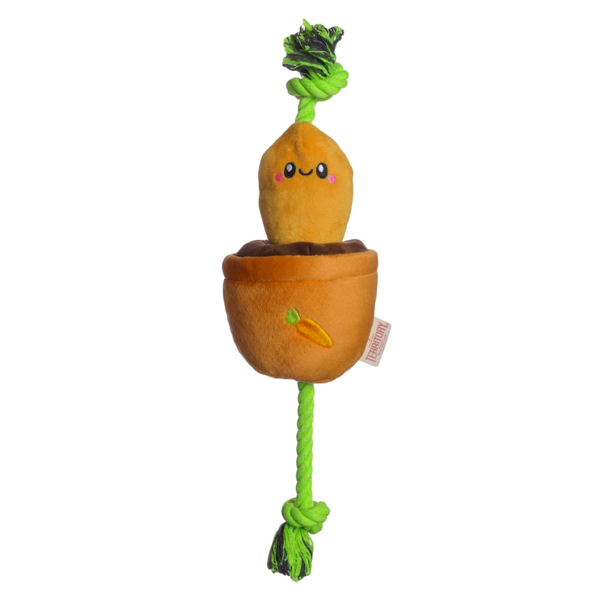 Treat & Tug Toy – Carrot