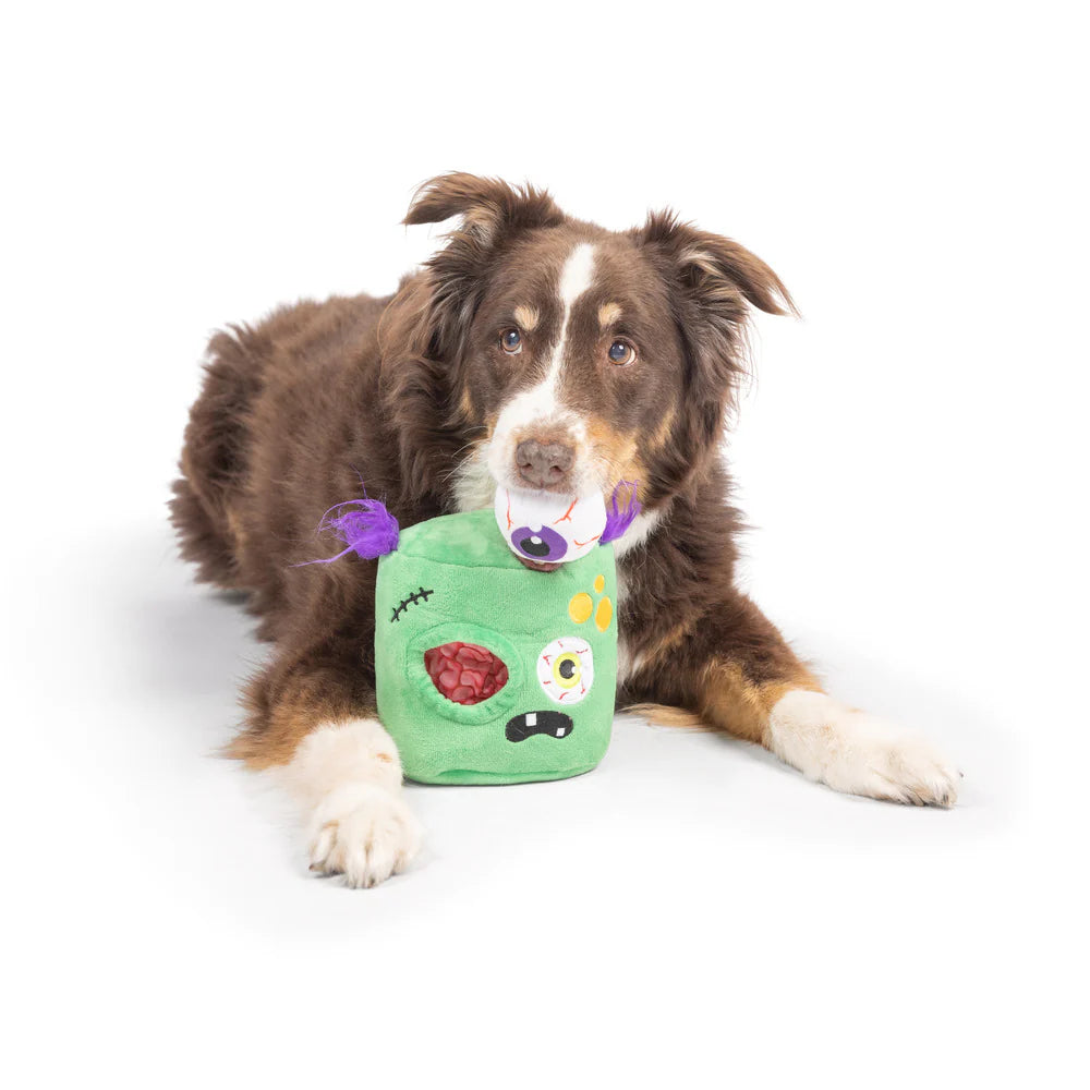 Pop ’n Fetch - Zombie Pop-Eye Toy