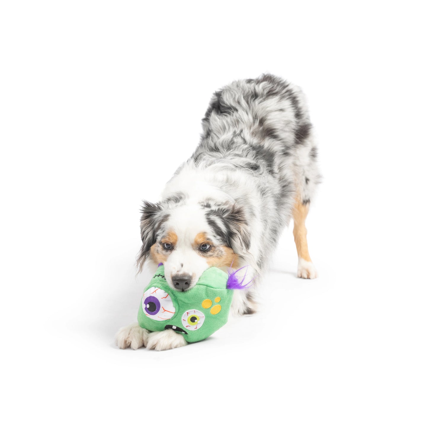 Pop ’n Fetch - Zombie Pop-Eye Toy
