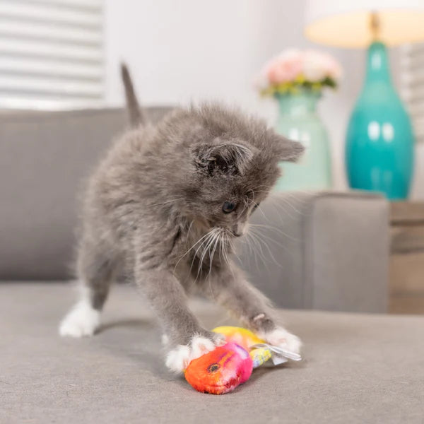 Rainbow Guppy Cat Toy