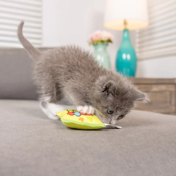 Sour Scratch Kats Toy