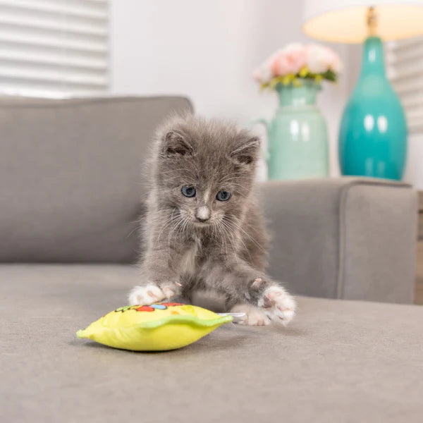 Sour Scratch Kats Toy