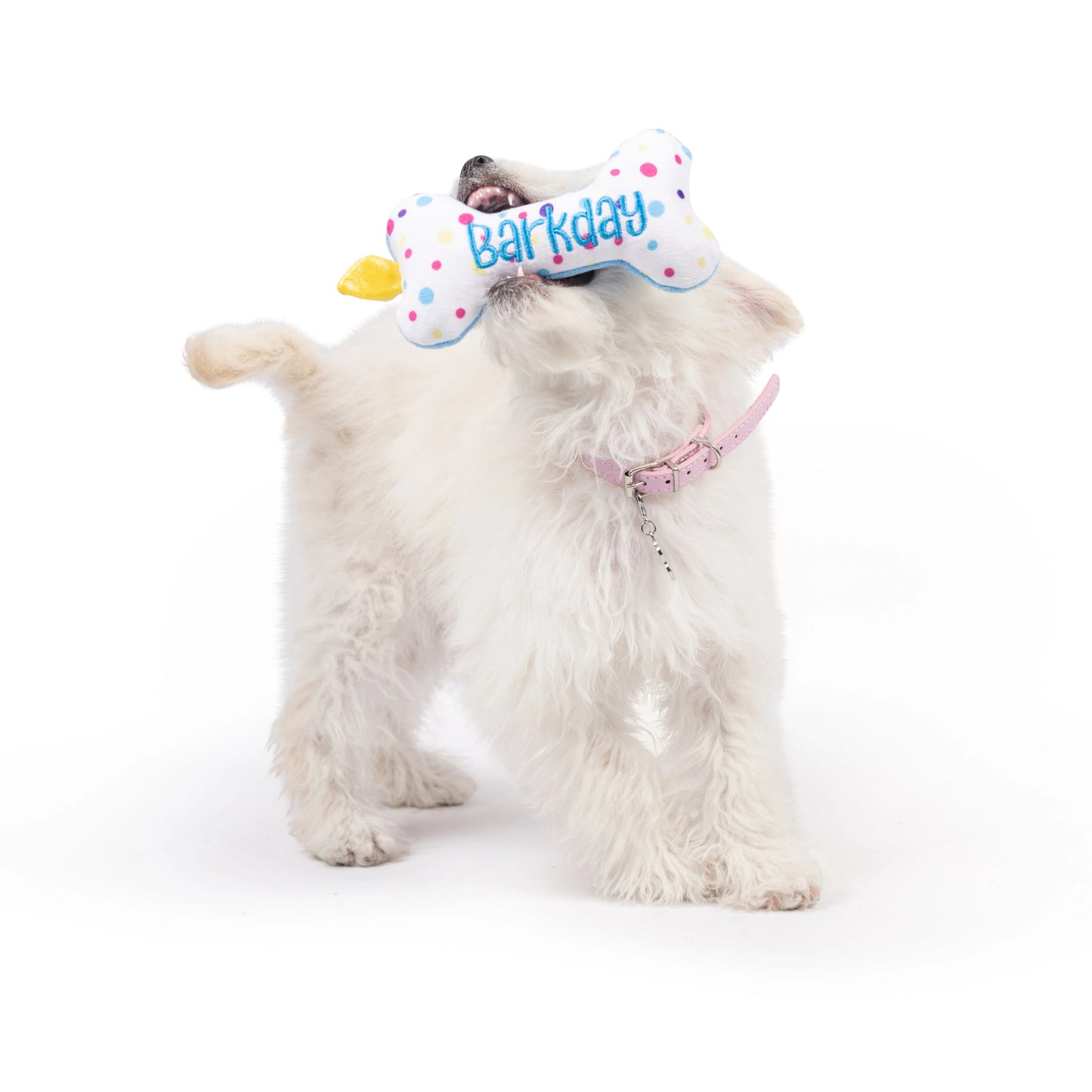 It's My Barkday! Bone Toy - Mini
