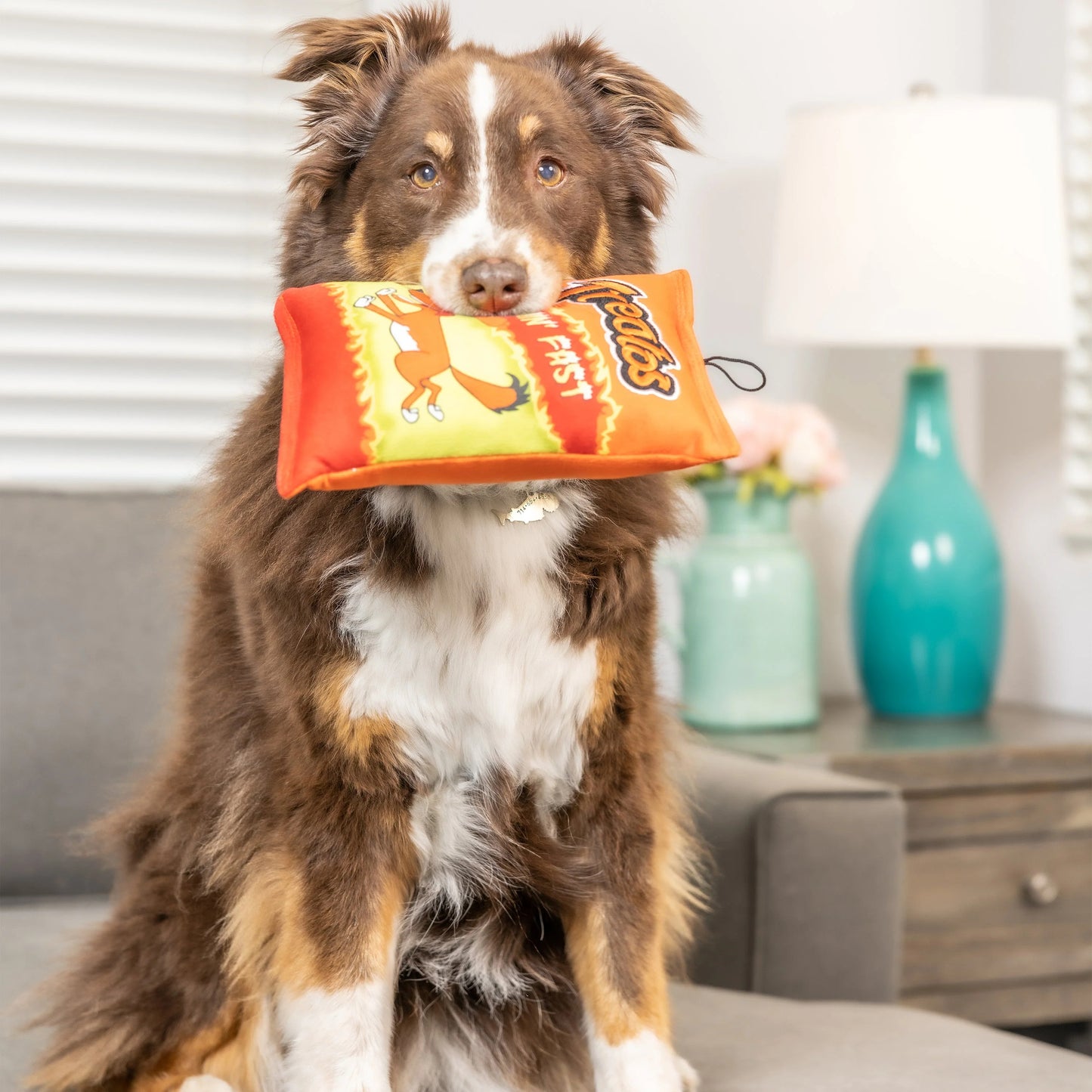 Treatos Flamin' Fast Toy - Multiple Sizes Available