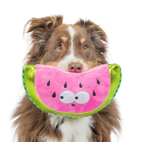 Walter Melon Toy