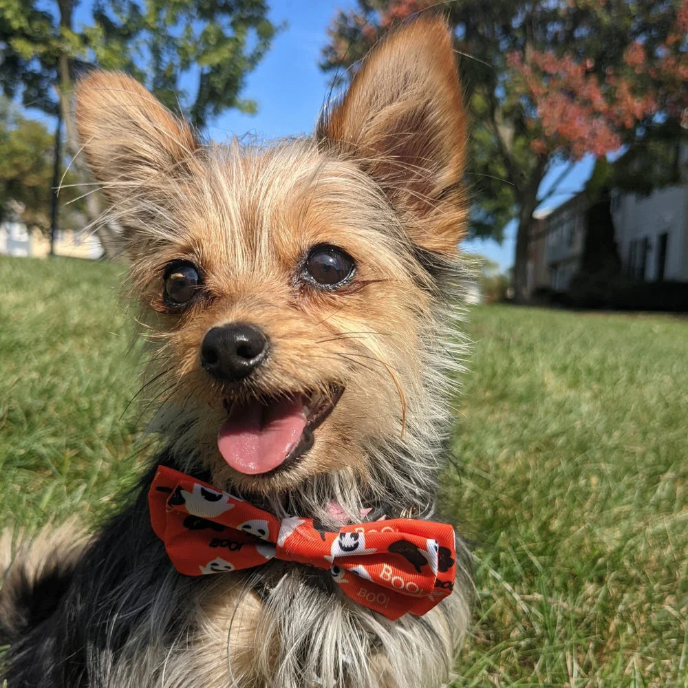 Ghostbusters Bow Tie