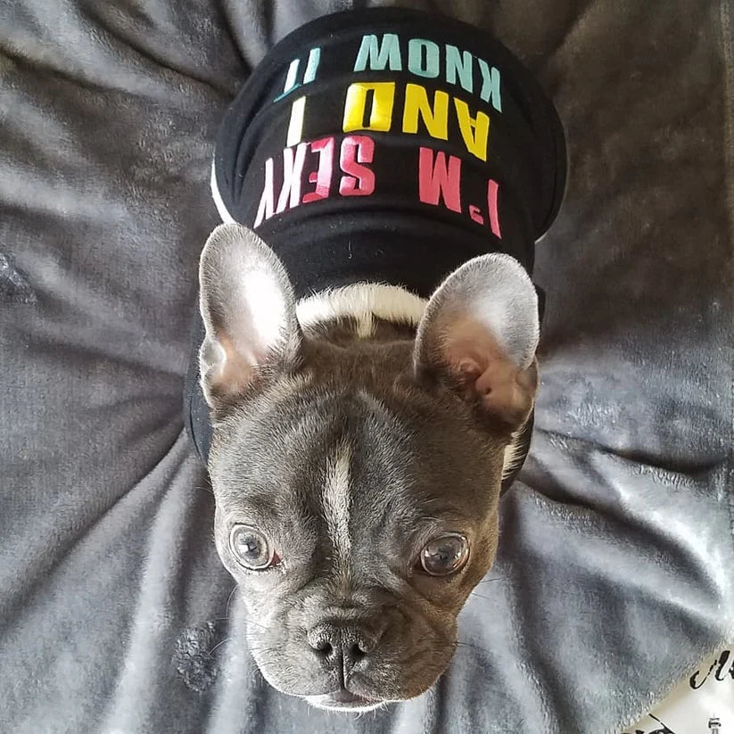 Sexy and I Know It Tee