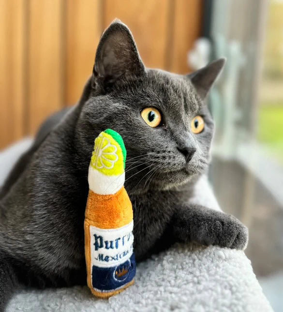 Purrona (Bottle & Ball) Catnip Toys