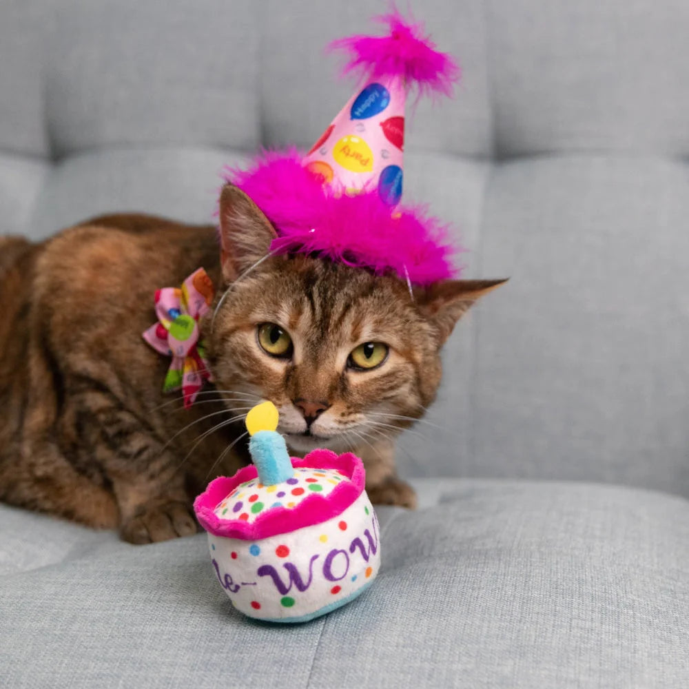 Mewow Cake Toy