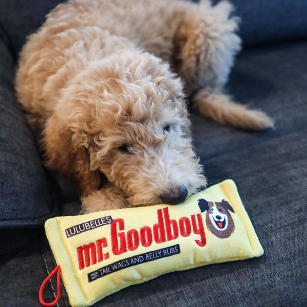 Mr. Goodboy Dog Toy - Large
