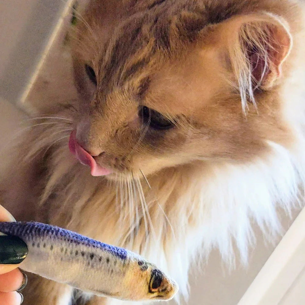 Sardine Plush Cat Toy
