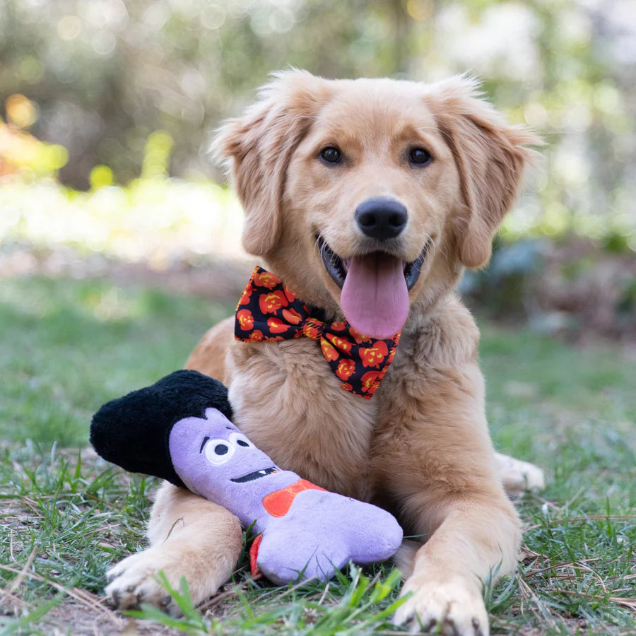 Dracula Bone Plush Dog Toy