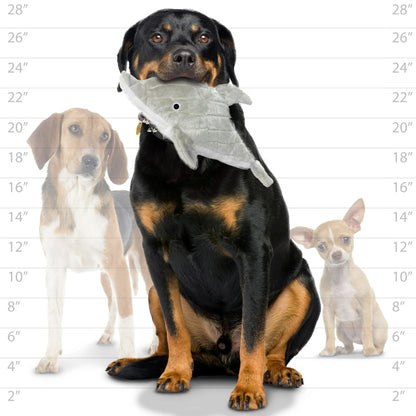 Mighty Ocean Dolphin Toy