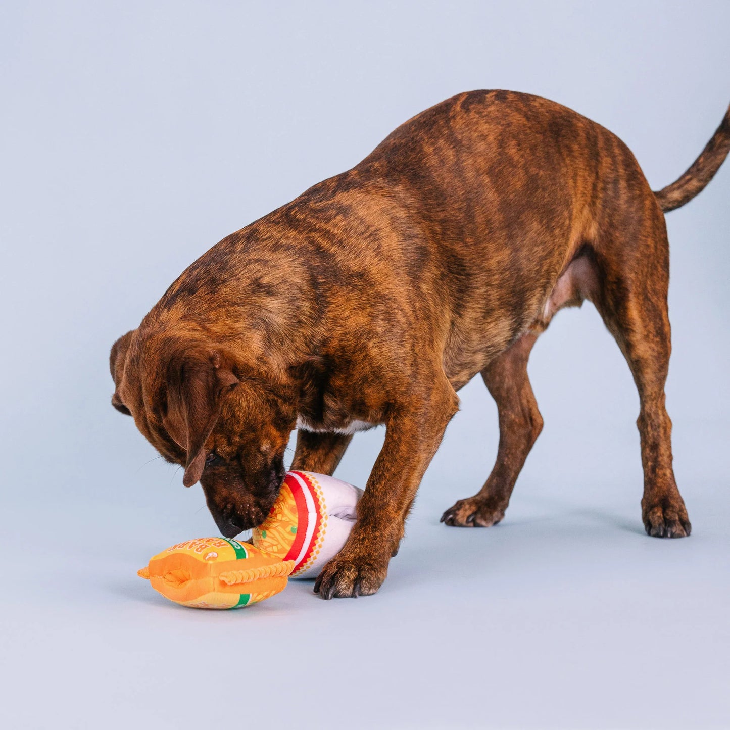Nothin' but Noodles Dog Toy Set