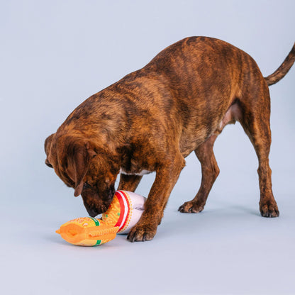 Nothin' but Noodles Dog Toy Set