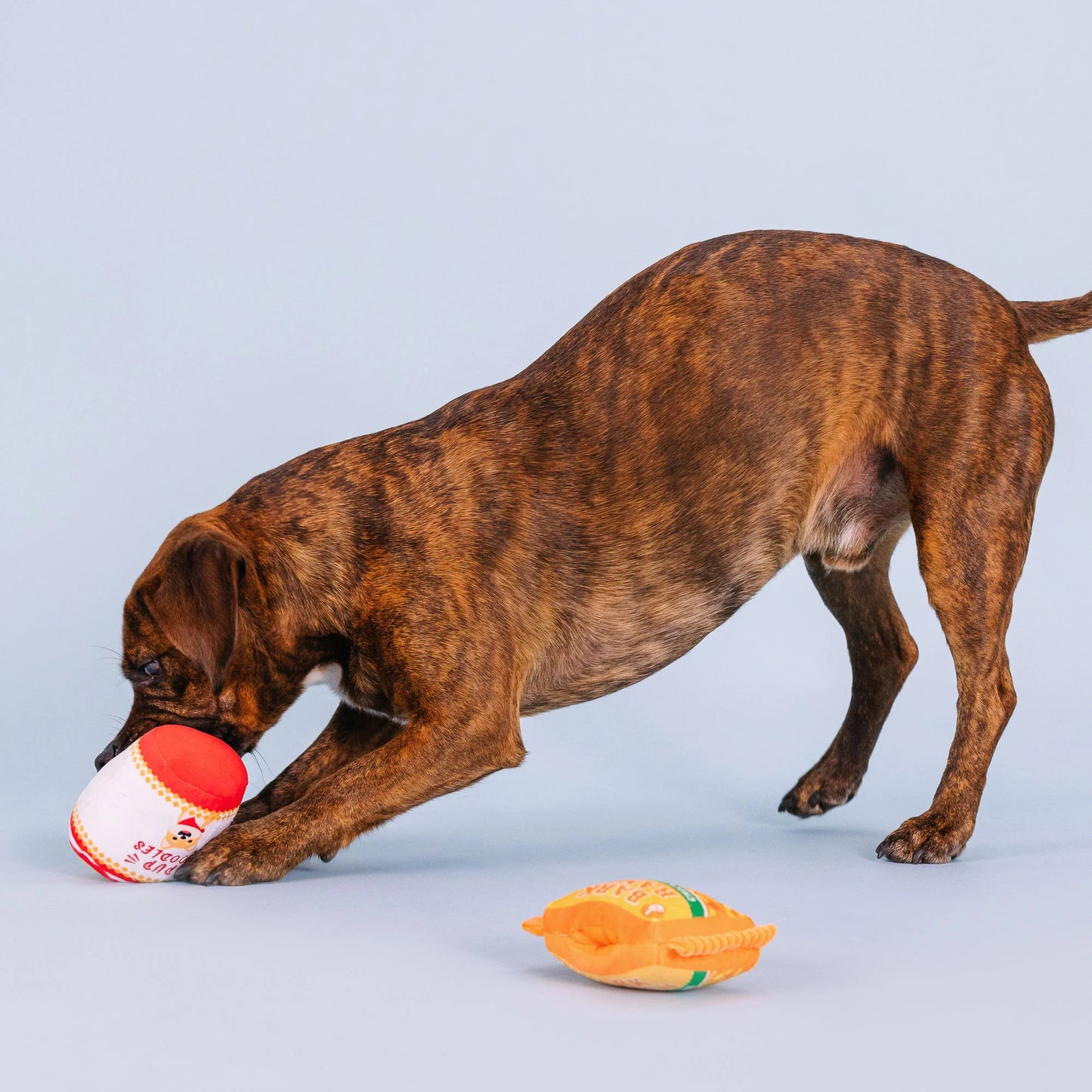 Nothin' but Noodles Dog Toy Set