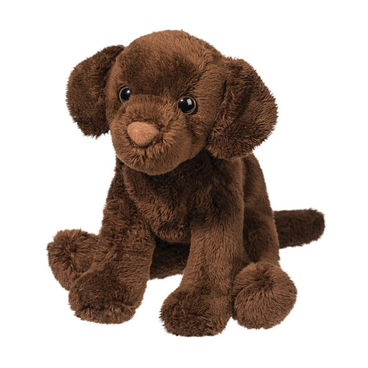 Finn the Chocolate Lab