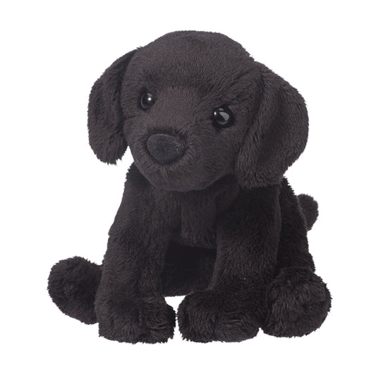 Lucy the Black Lab